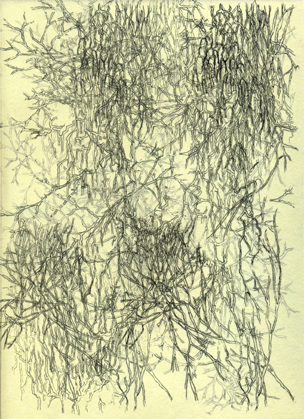 Image #5 of 12: 